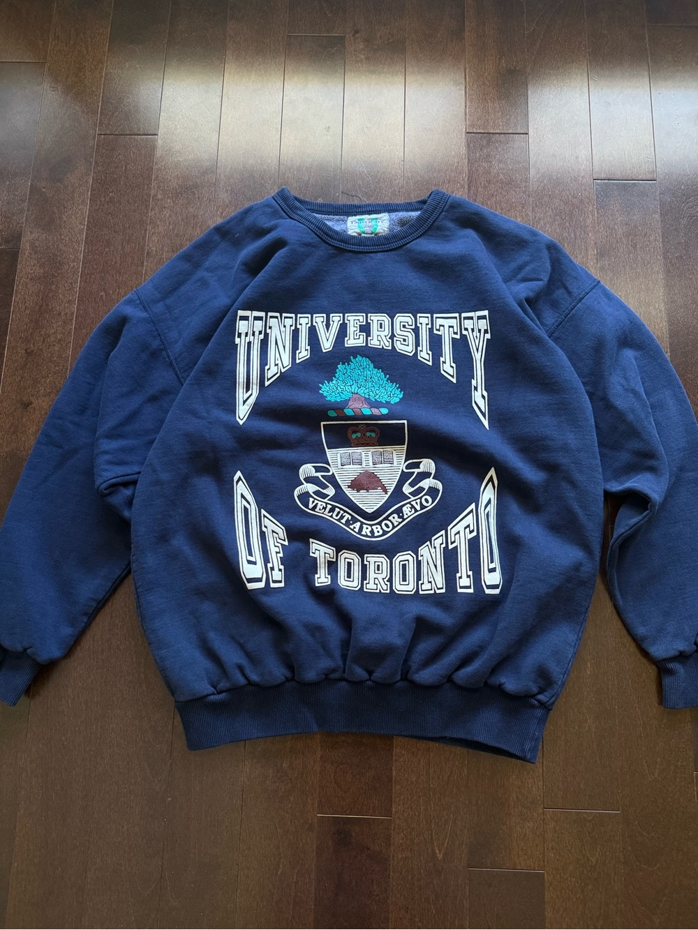Vintage University of Toronto 90’s U of T Graphic Oversized Crewneck Sweater